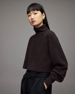 Allsaints Margot Räfflad Jumper Stickat Dam Bruna | SE.WK094X-1132